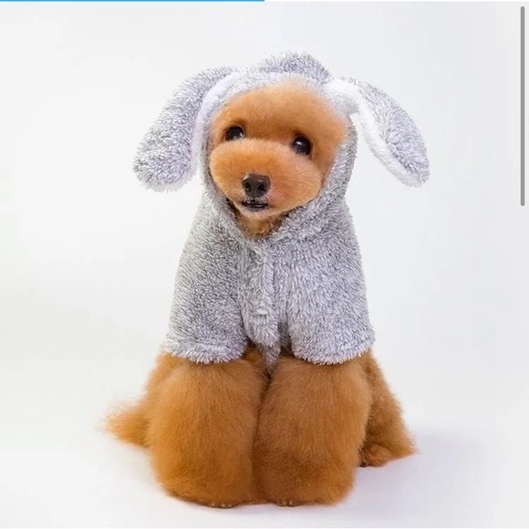 Other - Grey Bunny Rabbit Costume for Medium Pet Dog Cat